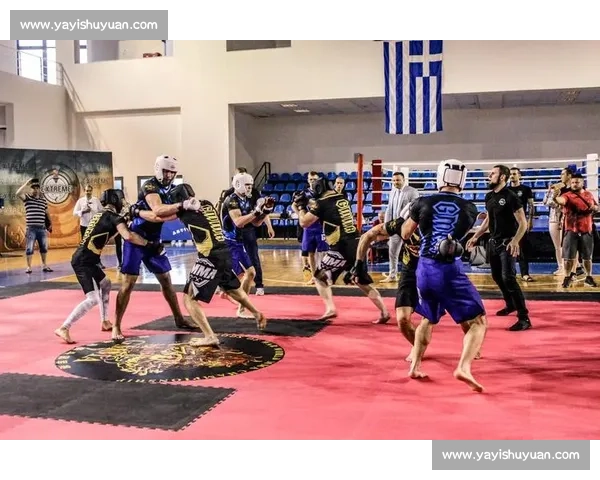 从训练到赛场解析综合格斗发展趋势与实战魅力全球体系文化深度